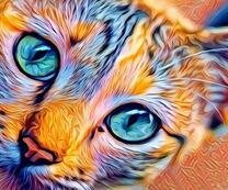 Выразительные глаза радужной кошечки