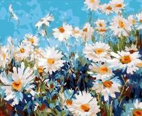 Цветущие ромашки на фоне голубого неба