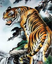 Грозный тигр на скале на фоне неба