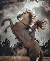 Девушка поставила лошадь на свечку