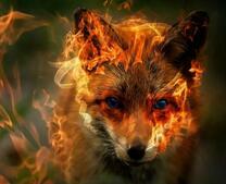 Огненная лисичка с голубыми глазами