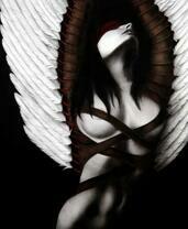 Обнаженная девушка с белыми перьями