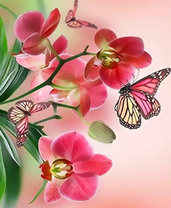 Бабочки на орхидеях