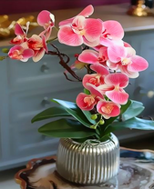 Красивая орхидея в интерьере