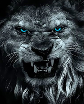 Голубоглазый злой лев