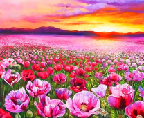 Поле маков на фоне горы