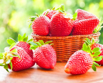 Мисочка аппетитной клубники