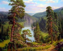 Пейзаж с видом на сосновый лес и реку