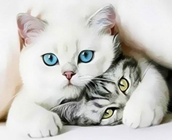 Картина по номерам 40x50 Игривые котята под одеялом