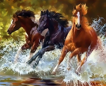 Три быстрых лошади на реке