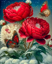 Бабочки на красных и белых пионах