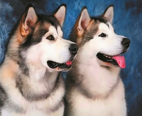 Домашние пушистые собаки