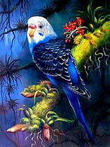 Попугай в ночном лесу