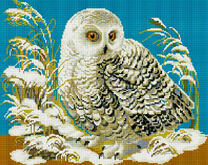 Белый филин на снегу