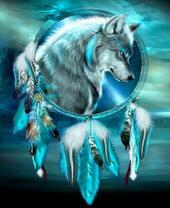 Белый волк в ловце снов