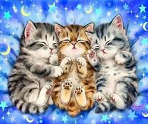 Три милых спящих котенка