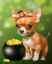 Маленький щеночек с кладом Лепрекона