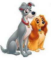 Ушастые собаки