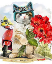 Котик везет букет на мопеде