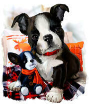 Французский бульдог с игрушкой