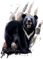 Черный мишка