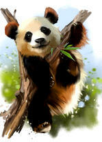 медведь панда на дереве