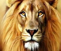 Большая морда льва