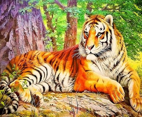 Картина по номерам 20x30 Тигрица отдыхает на солнышке