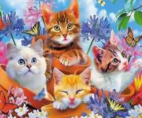 Хорошенькие котята в горшочках