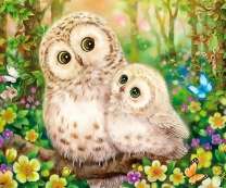 Сова и ее птенец среди лесных цветов