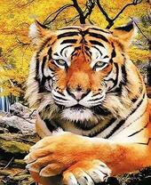 Большой тигр под золотистым деревом