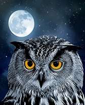 Филин на фоне яркого полнолуния