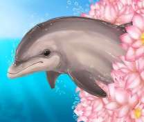 Дельфин и розовые цветы