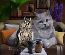 Филин и кошка за чашкой кофе