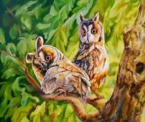 Два удивленных филина на ветке