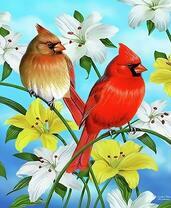 Пара кардиналов на цветущей лилии