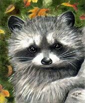 Маленький енотик под желтыми листьями