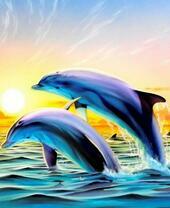 Стая дельфинов в солнечном море