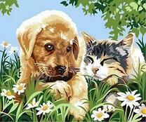 Щенок и котёнок на полянке ромашек