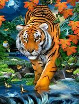 Тигр в осеннем лесу под покровом ночи