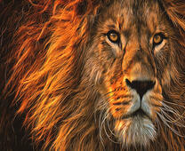 Большой мудрый лев