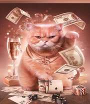 Грозный кот с деньгами и шампанским