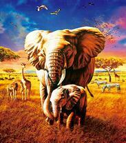 Слоны и другие животные Африки