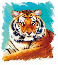 Красивый молодой тигр