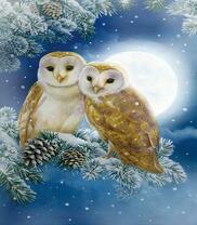 Полярные совы на еловой ветке под луной