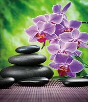 Гладкие камни и нежная орхидея