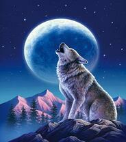 Одинокий волк на скале под полной луной