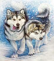 Две хаски в снежный день