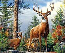 Два грациозных оленя в осеннем лесу