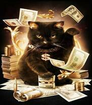 Черный котик с золотом и долларами